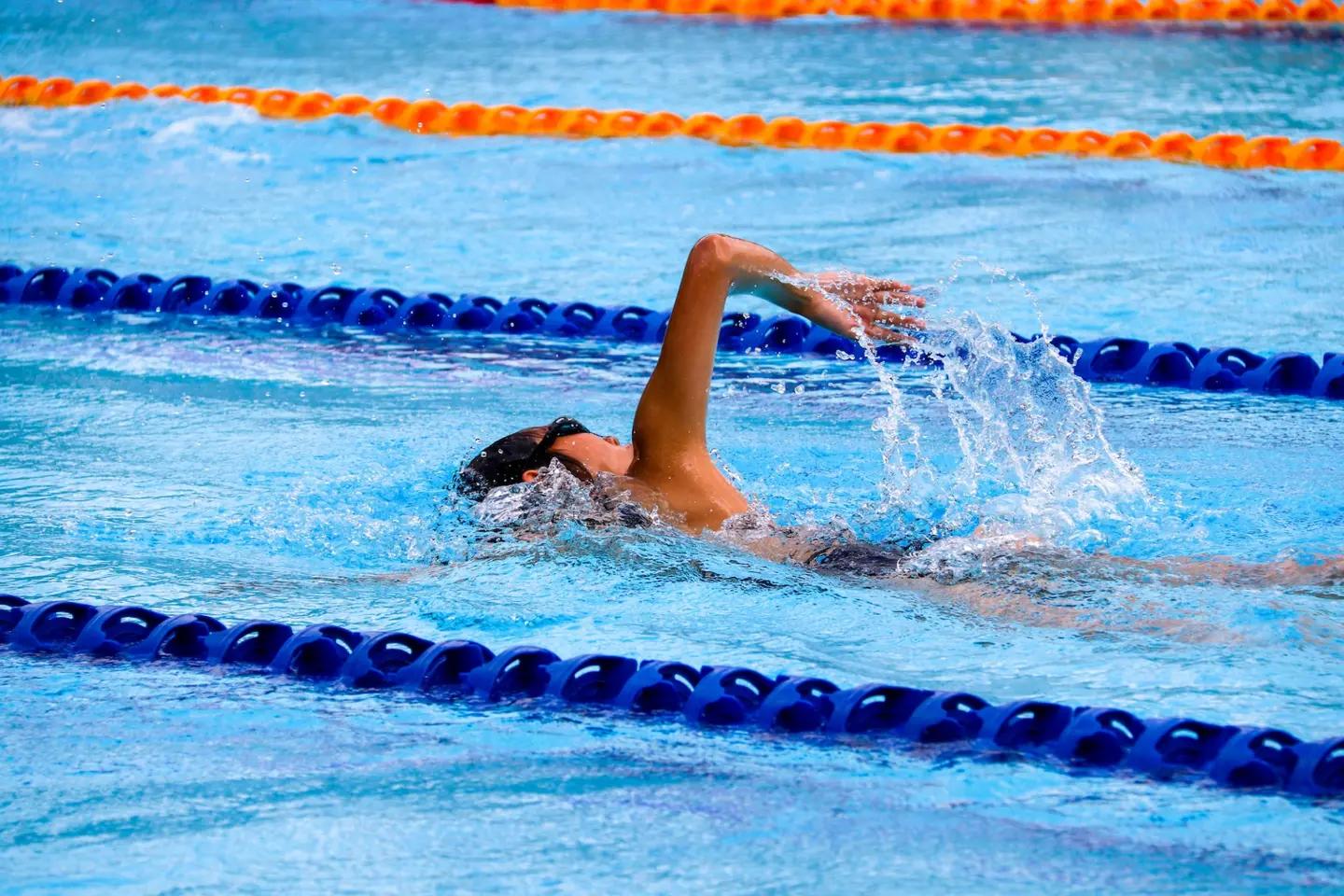 Natation